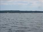 Sweden 2007-08 198